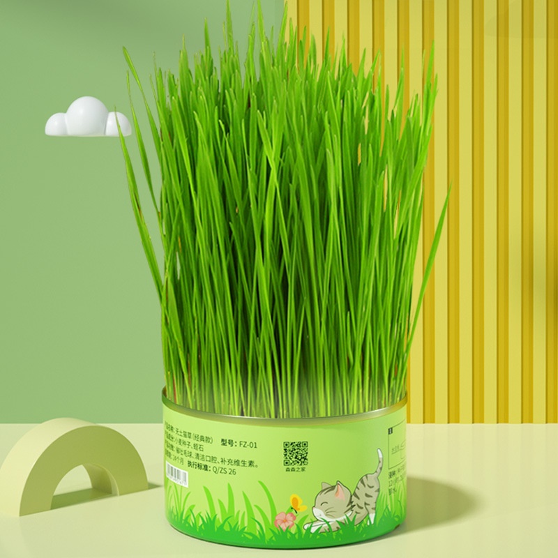 Lon trồng cỏ mèo tươi SUN SUN chống búi lông, giúp bé tiêu hóa tốt, thơm miệng, giảm stress