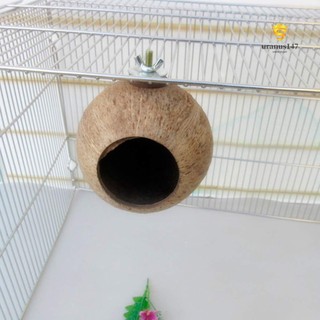 Tổ Chim Bằng Vỏ Dừa Độc Đáo