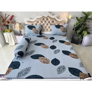 Bộ drap thun hàn quốc 4 món mát mịn