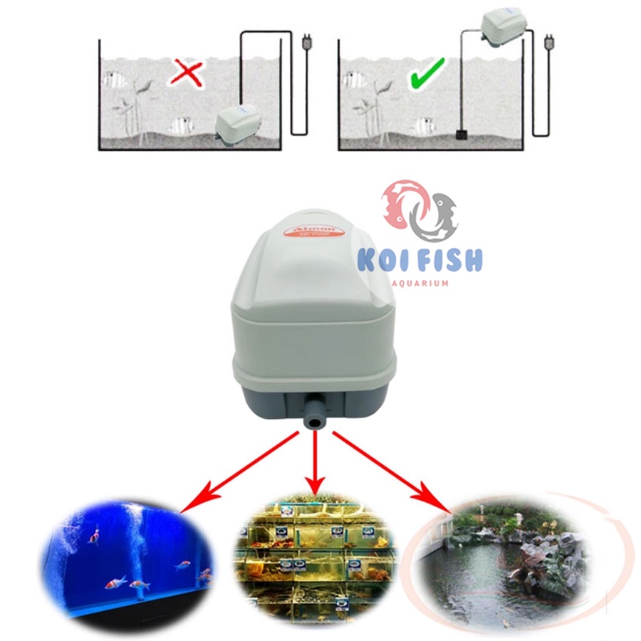 Máy sủi oxy cho hồ cá Koi Atman HP 4000 - 16000