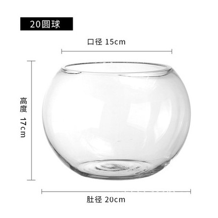 Bình Thủy Tinh tròn siêu trong_Chuyên dùng trồng cây thủy sinh, bể thủy sinh