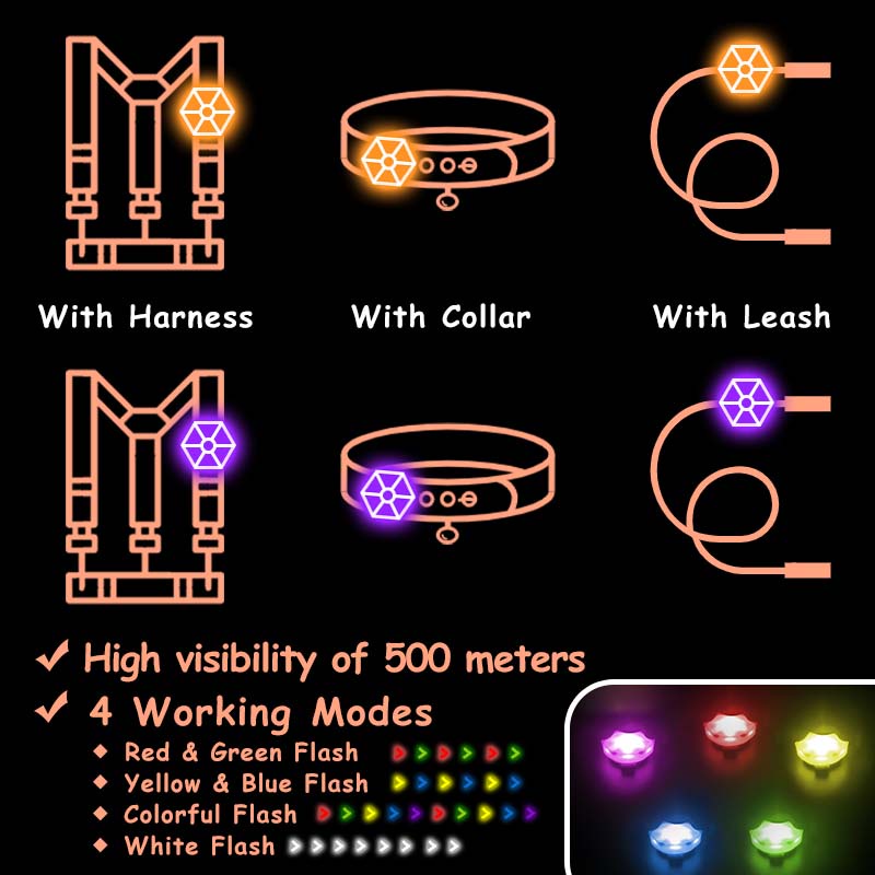 HamshMoc Dây Dắt Thú Cưng Đi Dạo Chống Thấm Nước Có Đèn LED Sạc USB Tiện Dụng