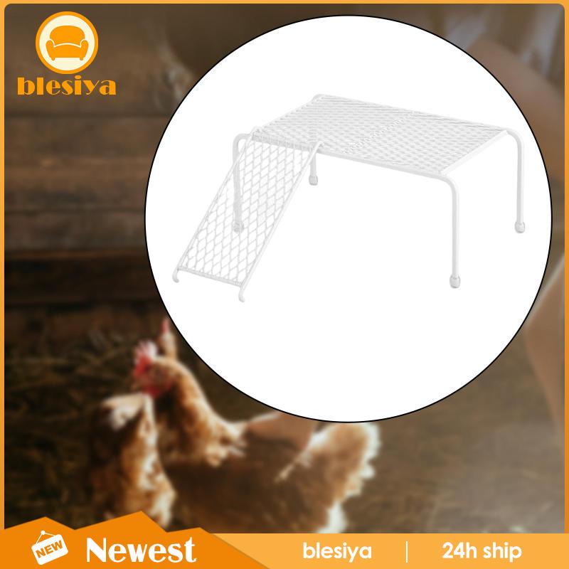 Khay Đựng Thức Ăn Cho Gà Tiện Dụng