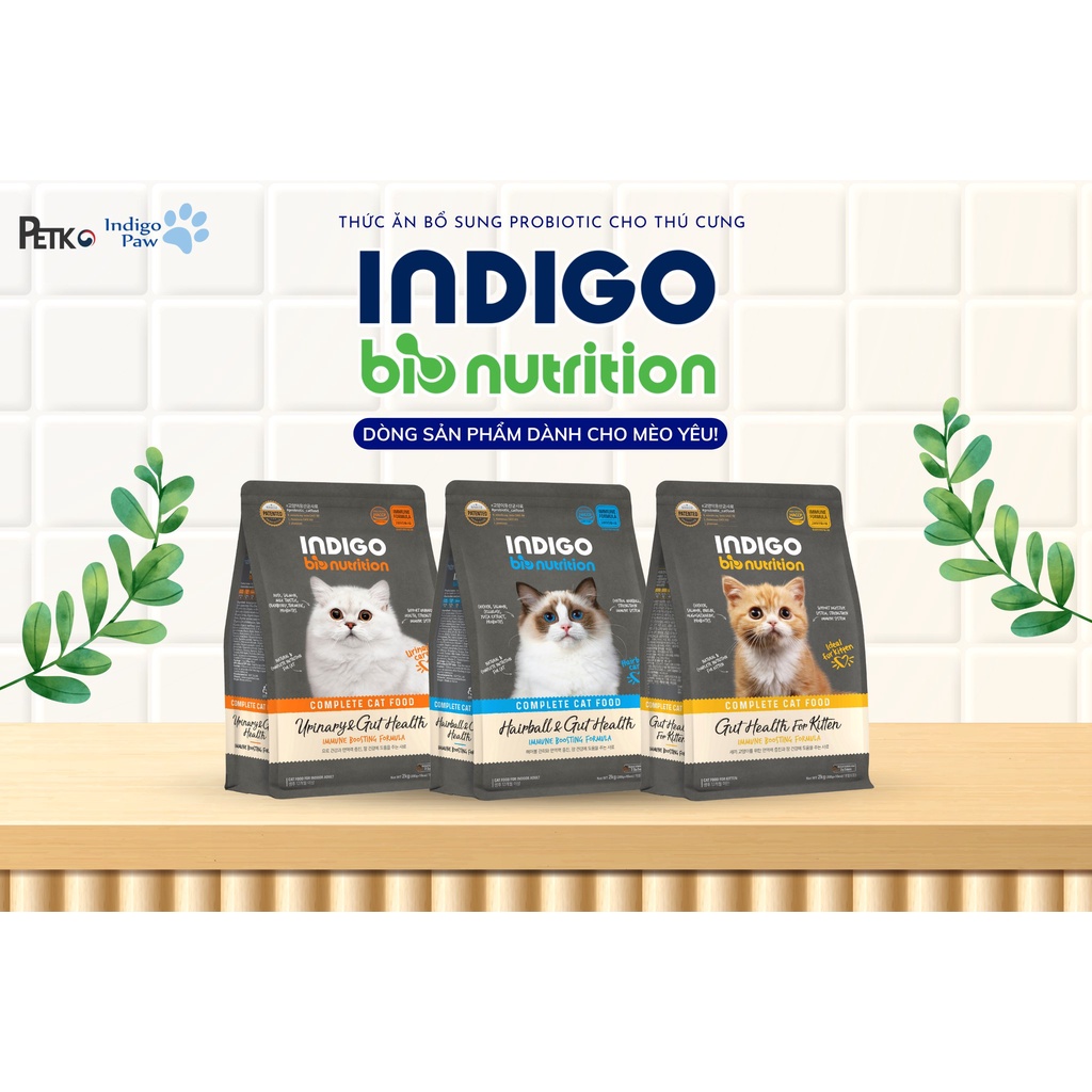 Hạt indigo hỗ trợ tiêu hóa cho chó mèo