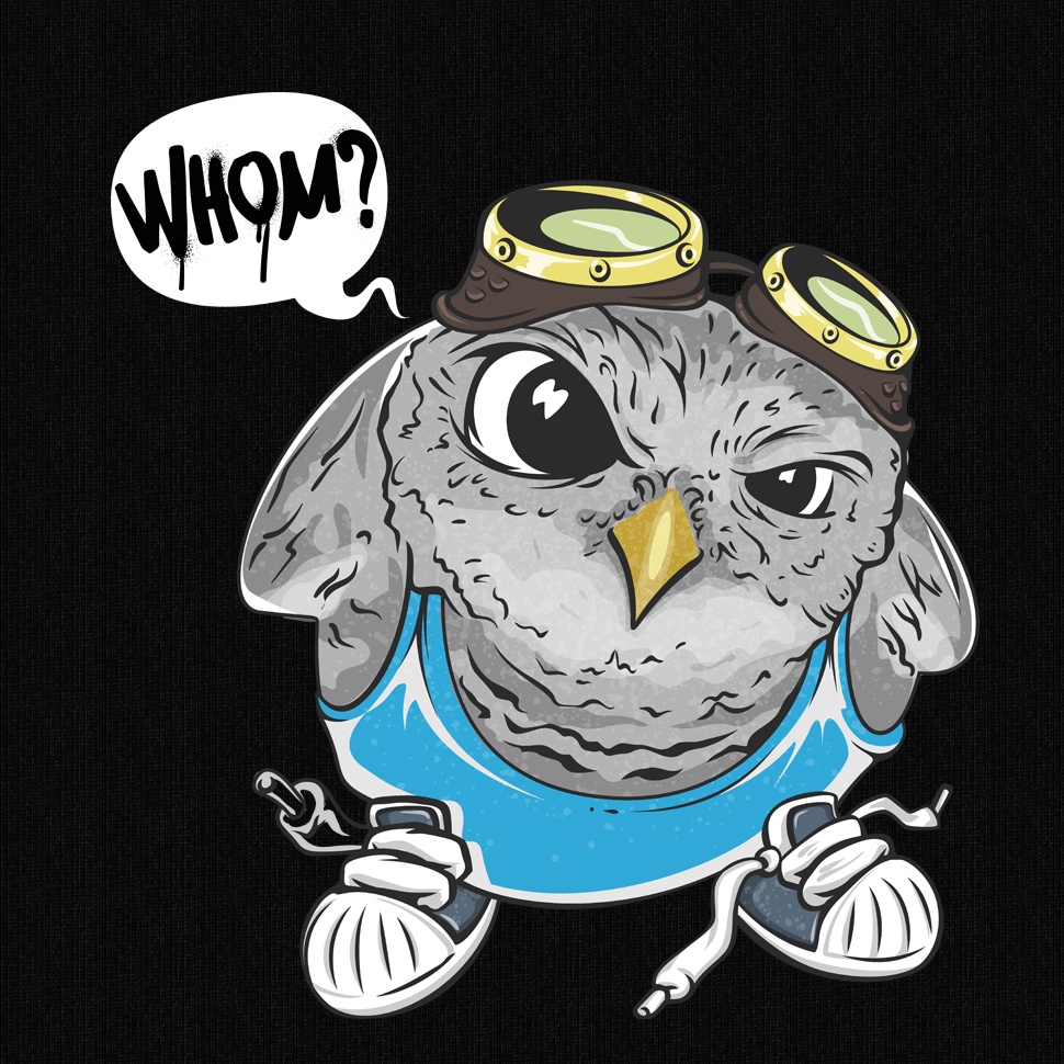 Áo Thun Oversize MYO Cartoon-Owl Q025