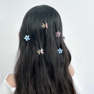 Set kẹp tóc hoa mini xinh xắn Modleaf Mini daisy set pin Hàn Quốc