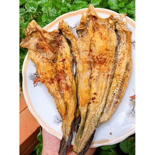 KHÔ CÁ NGÁT MẶN VỪA ĂN