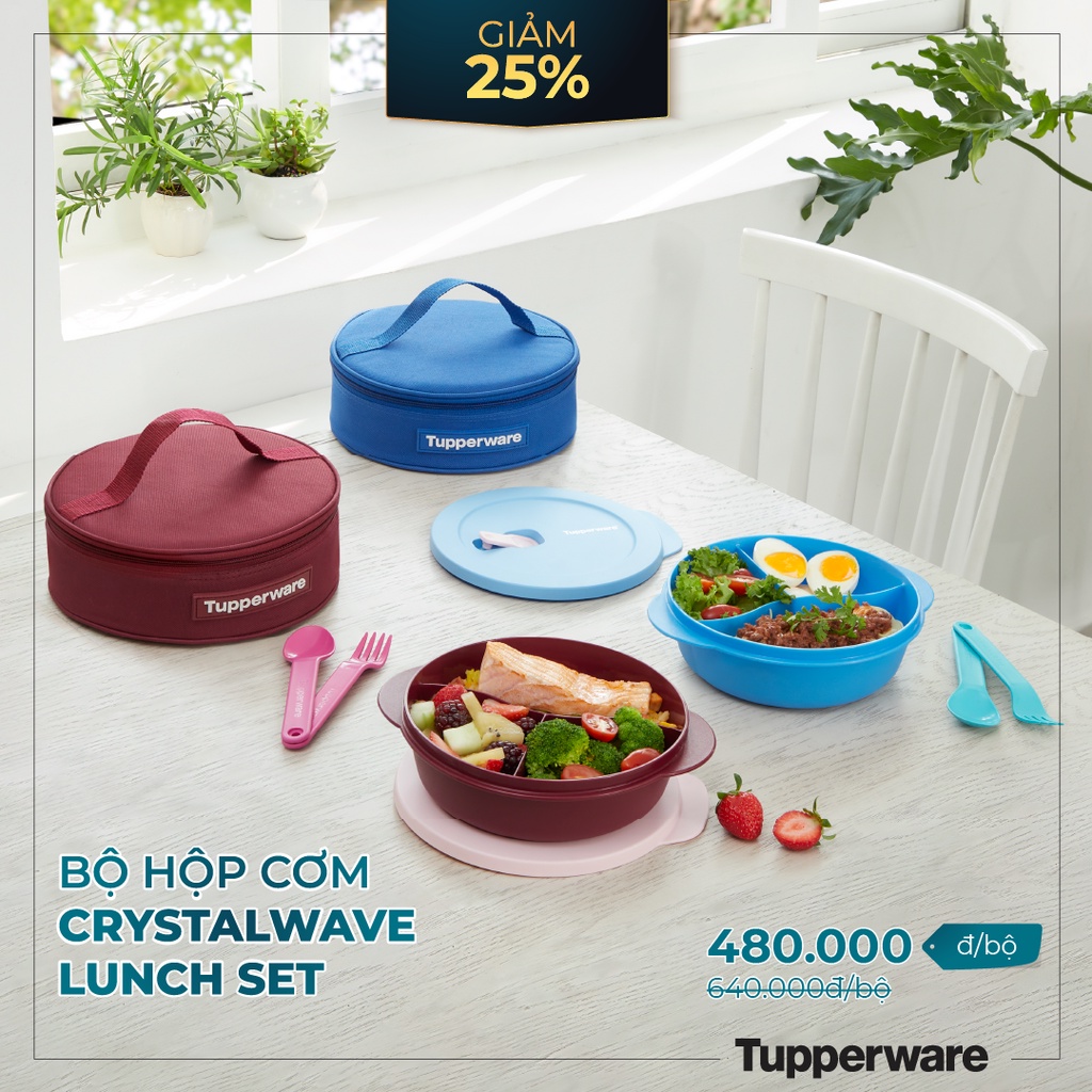 TUPPERWAREHOUSE MALL - HỘP CƠM CHIA NGĂN CRYTALWAVE LUNCH SET XANH - ĐỎ