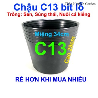 Chậu nhựa bít lỗ C13 lỗ Liên An trồng sen mini, nuôi cá, trồng cây thủy sinh, đựng rác, chứa nước | Thảo Nguyên Garden