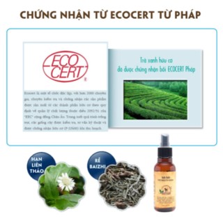 XỊT VỆ SINH RĂNG MIỆNG CHO CHÓ BUDLE'BUDLE