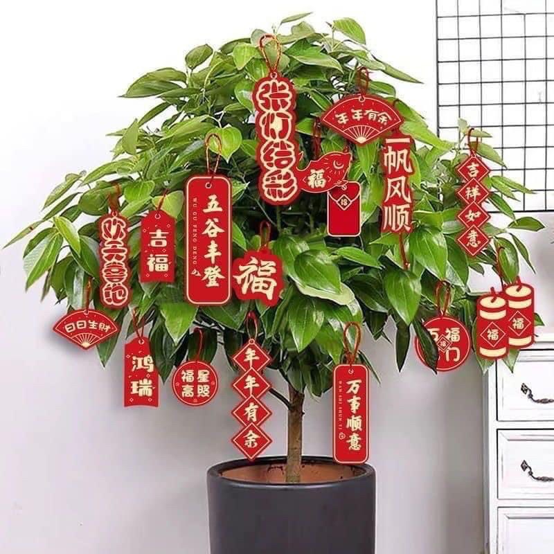 SÉT TRANG TRÍ TẾT 72 CHI TIẾT