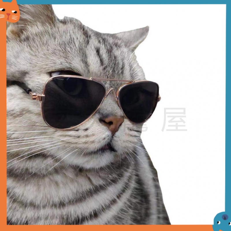 Kính Mát Chống Tia UV Dùng Chụp Ảnh Cho Thú Cưng