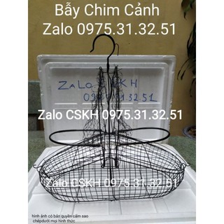Lụp bẫy chim chào mào chòe mi khướu