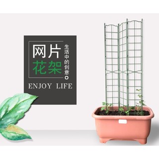Khung hoa leo rộng 45cm cao 125cm chuyên trồng hoa Daim