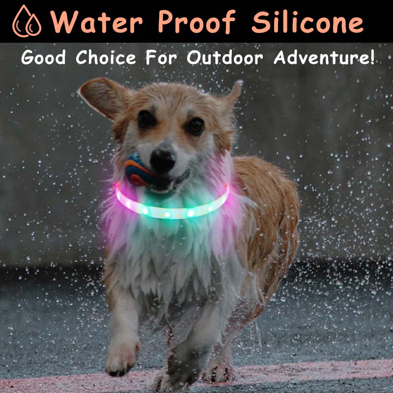 HamshMoc Vòng Cổ Thú Cưng Gắn Đèn LED Phát Sáng Chống Thấm Nước Có Thể Sạc Lại Bằng Cổng USB