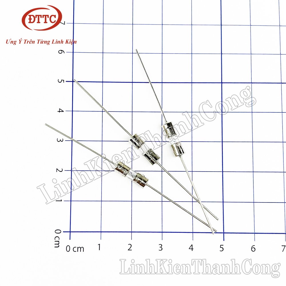 Bộ 2 Chiếc Cầu Chì Ống 250V 3.6x10mm Chân Cắm 1A 2A 3A 5A 6.3A 8A 10A