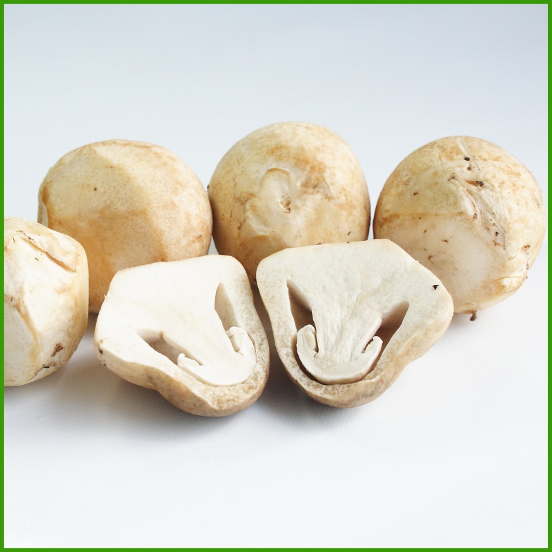 Nấm Rơm Sấy Lạnh Anvies Giữ Trọn Vị Ngon Cung Cấp Vitamin Dinh Dưỡng Và Khoáng Chất- 50g