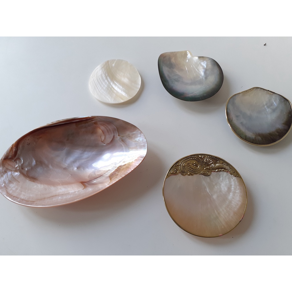 Đĩa trai hồng, đĩa xác đen, xác vàng Diềm Mạ Niken màu Vàng