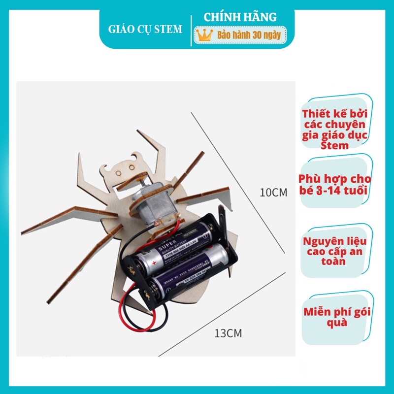 Robot Nhện Đồ Chơi Bằng Gỗ Cho Bé Bằng Gỗ - Đồ Chơi Khoa Học Cho Trẻ Em