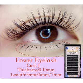 Lông Mi Giả Cong Siêu Mềm Tự Nhiên Màu Đen 0.1mm Fibroin