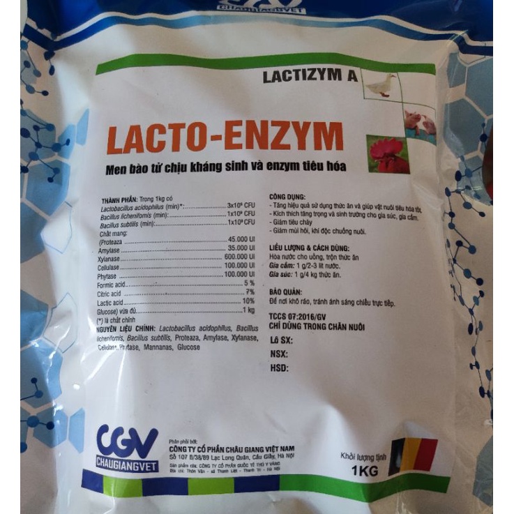 Men bào tử chịu kháng sinh Lacto Enzyme 1kg
