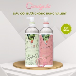 Combo dầu gội bưởi dầu xả bưởi Grapefruit Valert 850ML phục hồi chống rụng kích mọc tóc chính hãng