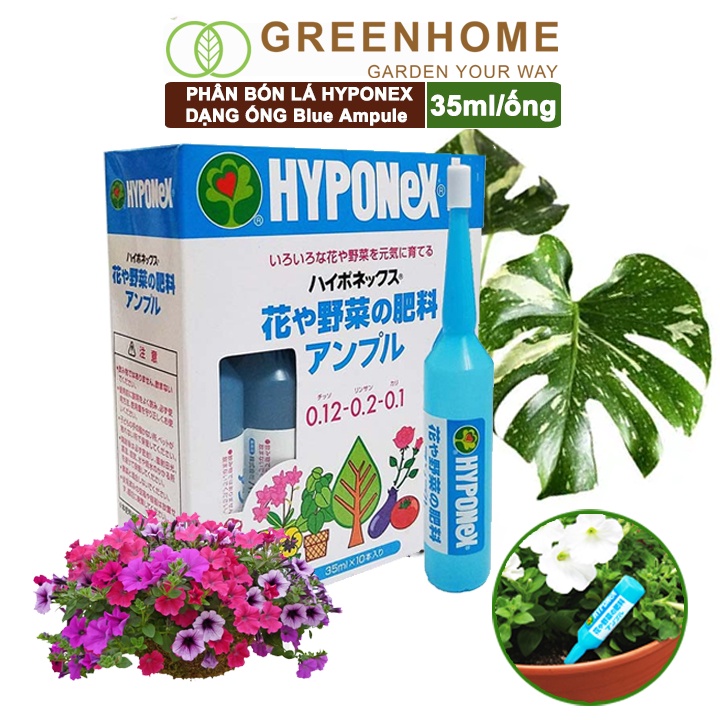 Phân bón dạng ống Nhật, Hyponex, Blue Ampule, ống 35ml, tiện lợi, chuyên cây nội thất, kiểng lá, cây để bàn |Greenhome