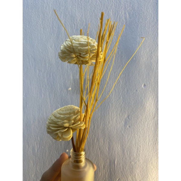 Tinh Dầu Tỏa Hương Thơm Thái Lan