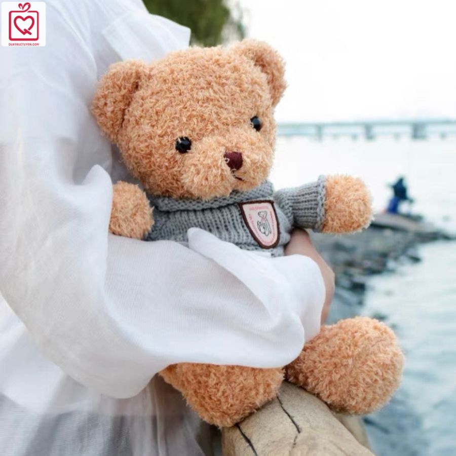 Gấu bông nâu đáng yêu áo xám, Gấu Teddy bear áo len dễ thương