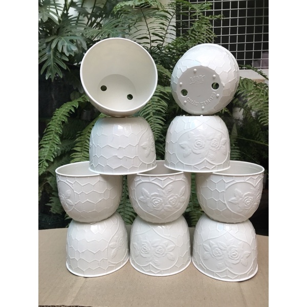 10 chậu nhựa trồng cây cao cấp
