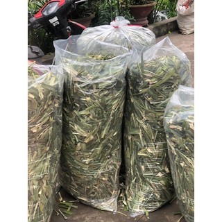 500g lá dứa - lá nếp khô siêu thơm uống trà