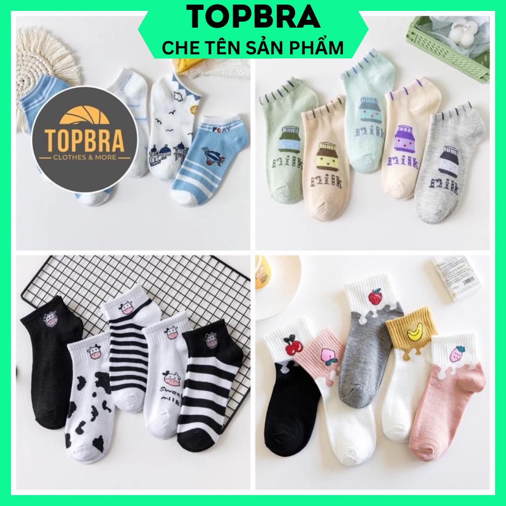 Tất Nữ Cổ Ngắn Cotton Cute Vớ Nữ Cổ Thấp Dễ Thương Có Túi Sỉ Tất Nữ TOPBRA