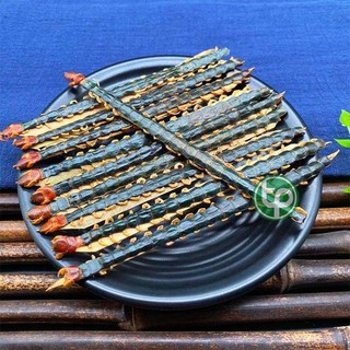 Ngô công ( con rết khô ) - Tấn Phát