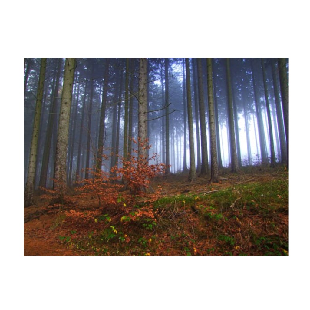 Máy ảnh Fujifilm Finepix 4700Zoom