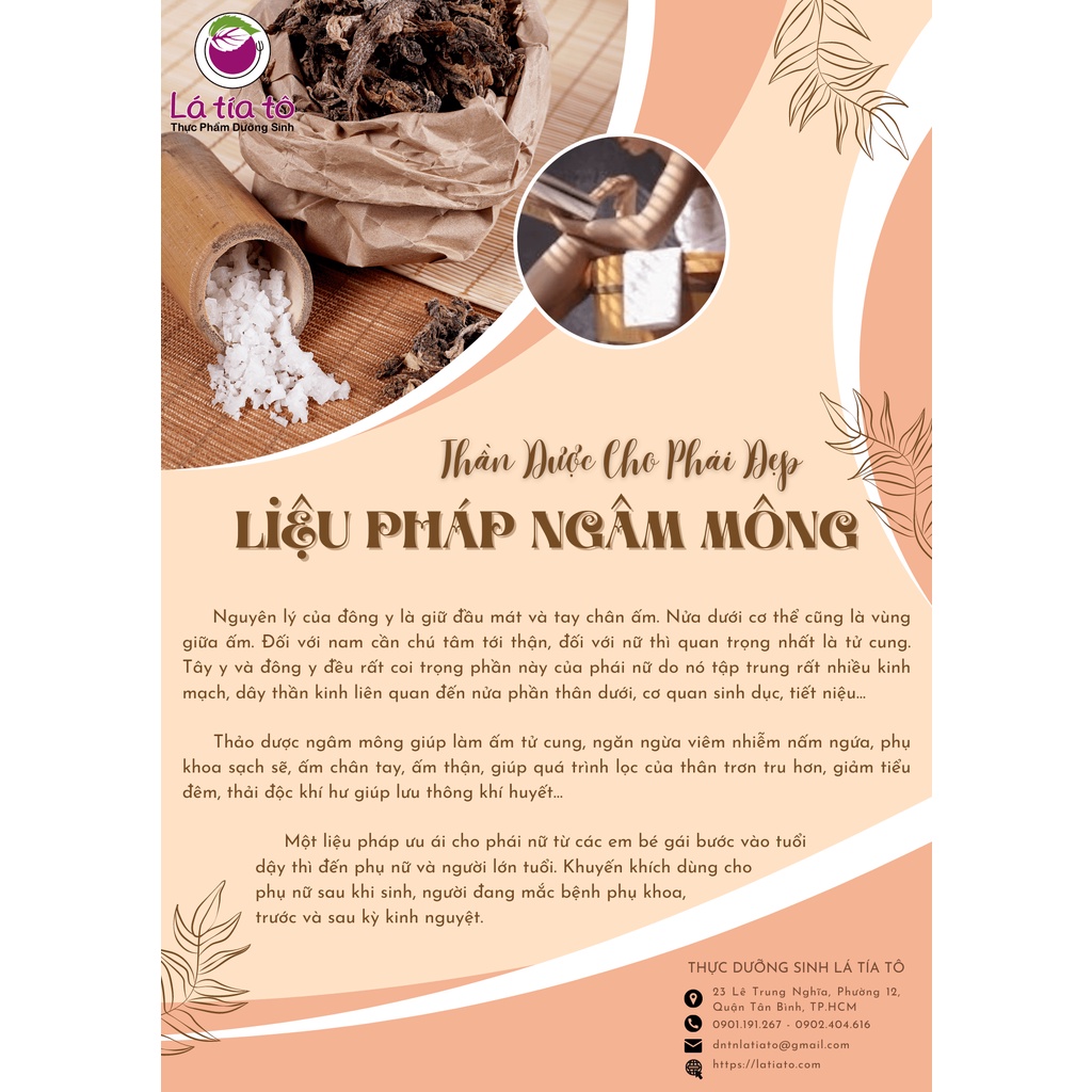 THẢO DƯỢC NGÂM MÔNG LÁ CẢI LÚ BÚ - LÁ TÍA TÔ