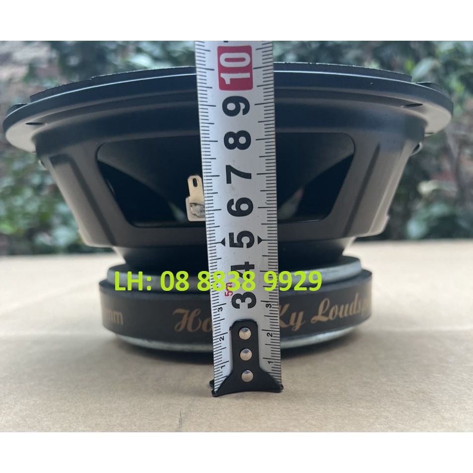 CẶP BASS 20 HỒNG KÌ MÀNG ĐEN TỪ 140 COIL 41 CAO CẤP HÀNG VIỆT - GIÁ 2 CÁI