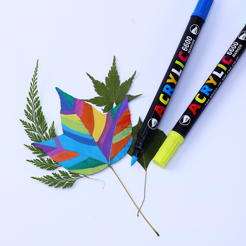 Set 36 Bút Lông Hai Đầu Bằng Acrylic Hai Đầu DIY