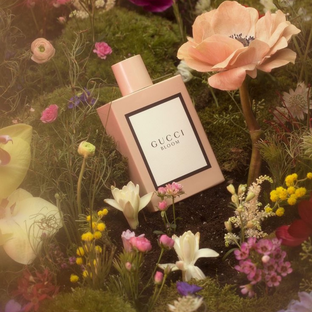 Nước hoa nữ Guc ci Bloom hồng nước hoa hàng hiệu cao cấp dung tích 100ml | BigBuy360 - bigbuy360.vn