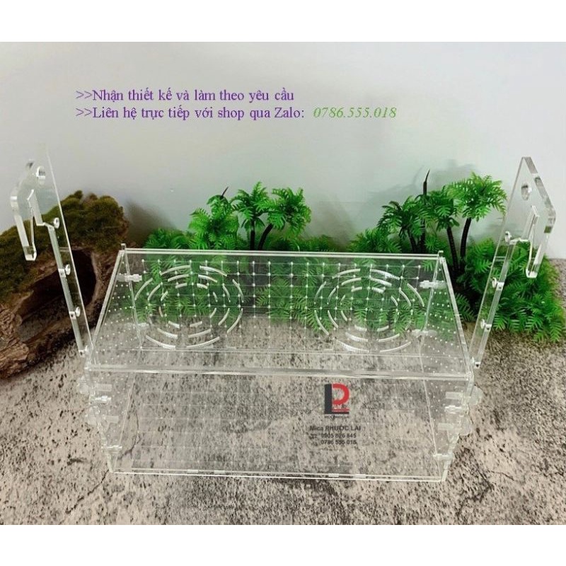 Box dưỡng tép - cá acrylic kẻ vạch cao cấp