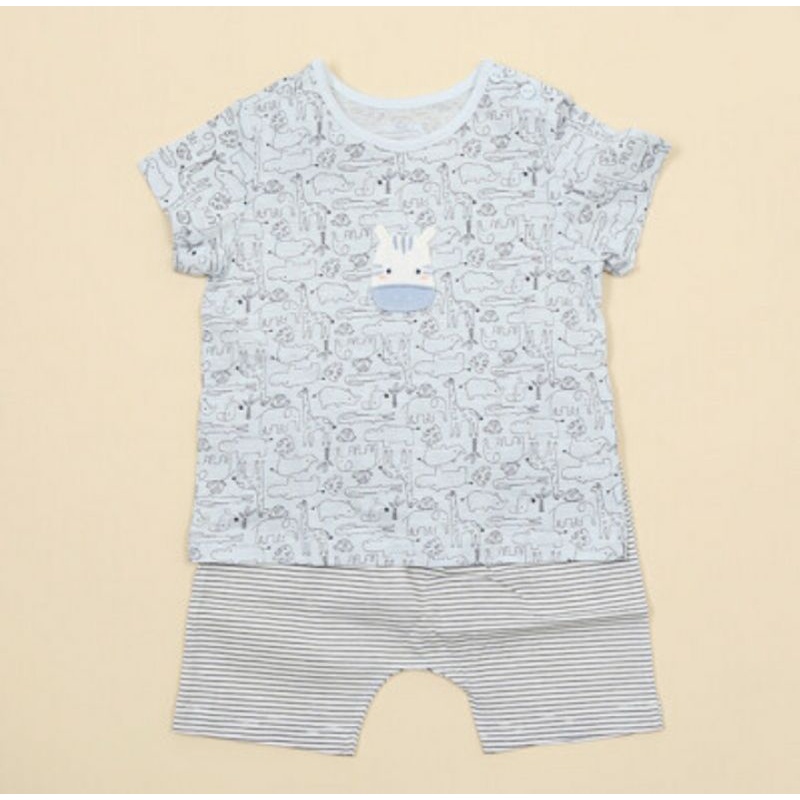 Lỗi- Bộ cotton giấy Absorba VN xuất Hàn