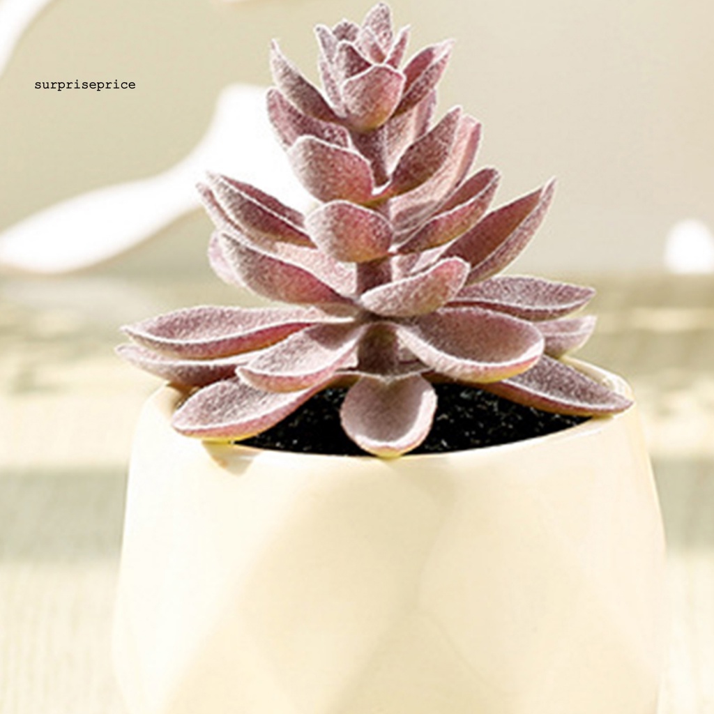 Chậu Cây Bonsai Giả Bằng Gốm Trang Trí Phòng Khách