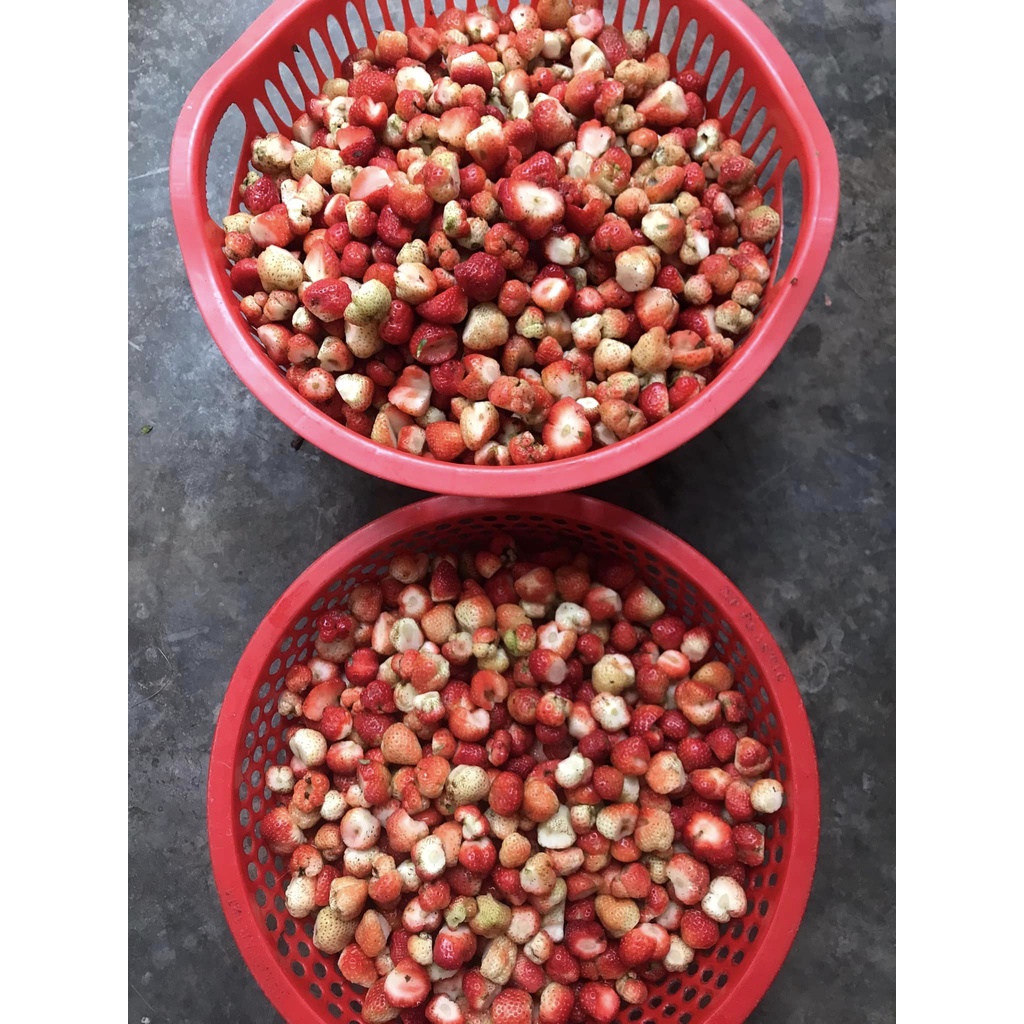 Dâu tây tươi cắt gọt sãn- dùng để làm trà dâu- 5kg