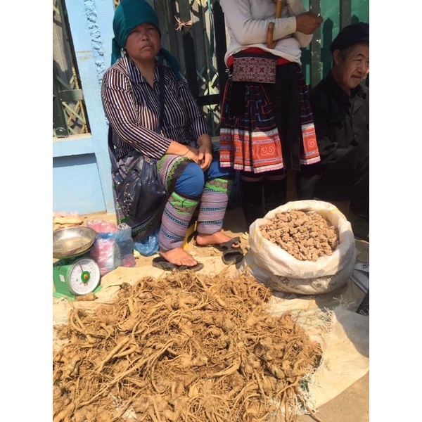 1kg Tam thất bắc tươi - HÀNG ĐẢM BẢO CHẤT LƯỢNG - DƯỢC LIỆU HÀ HOÀNG