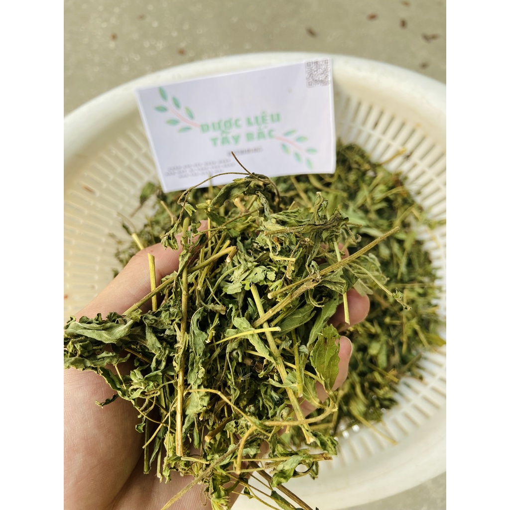 Cỏ Ngọt khô sạch 1kg hàng chuẩn loại 1 - Dược Liệu Tây Bắc