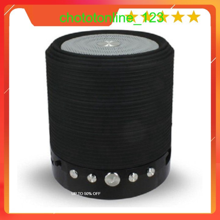 Loa Bluetooth WS-631 Mini Speaker