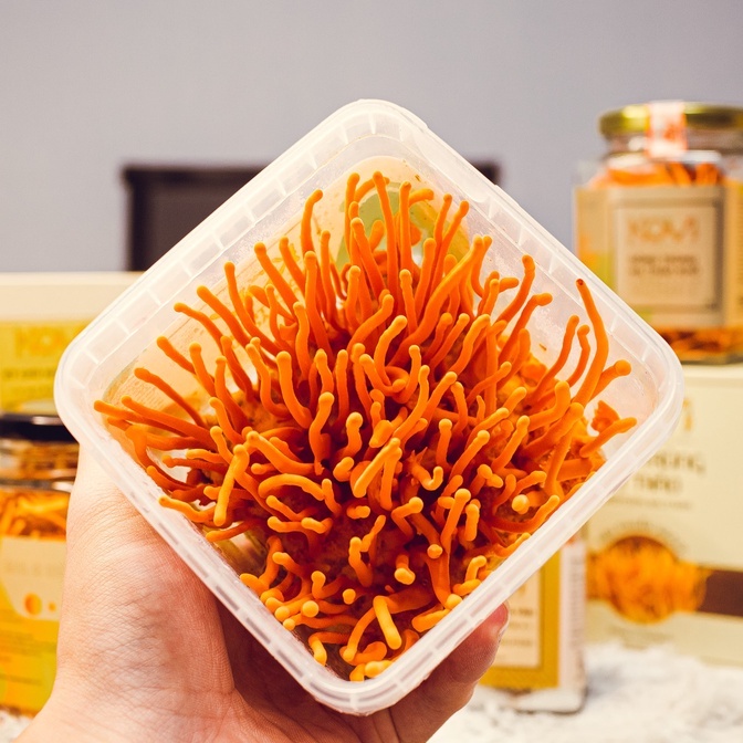 Đông Trùng Hạ Thảo Tươi Kovi Hộp 150g