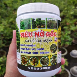 Siêu nở gốc USA mập thân mập cành, kích rễ ra chòi cực mạnh