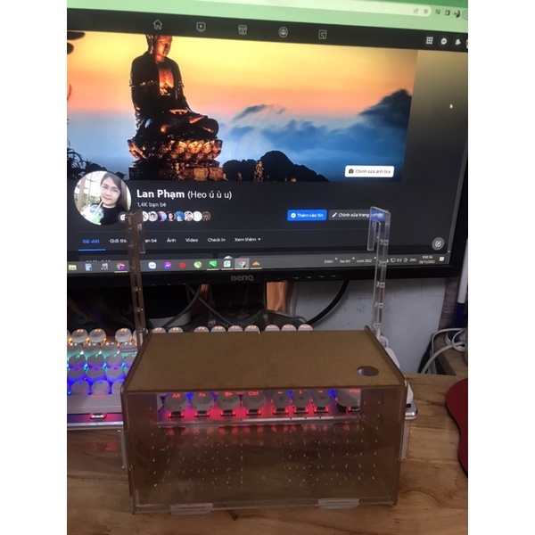 Box đôi dưỡng tép