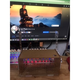 Box đôi dưỡng tép