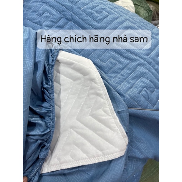 Ga Hilton cotoon Trần bông thêu (không gối)Sam-store | BigBuy360 - bigbuy360.vn